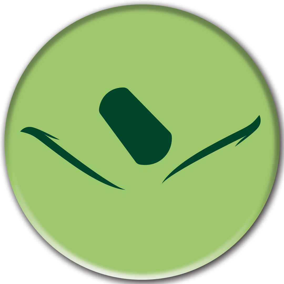 هنر دلبری