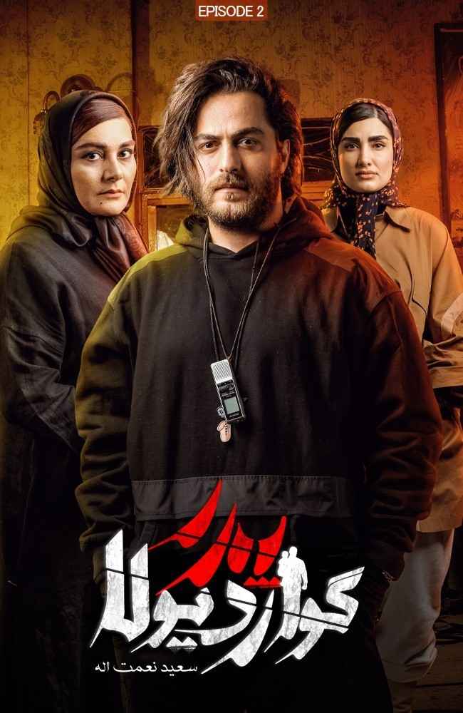 رضا محبتی