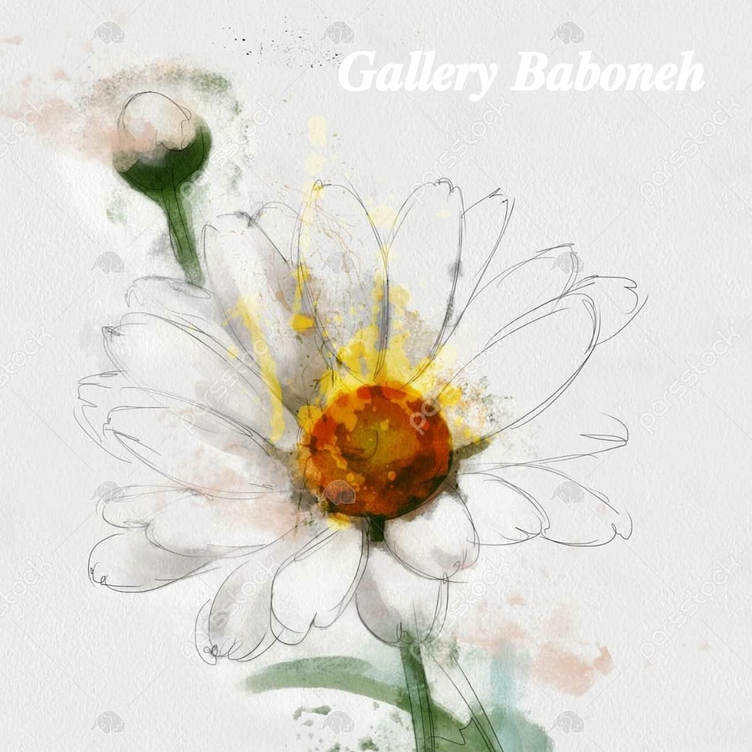 گالری بابونه