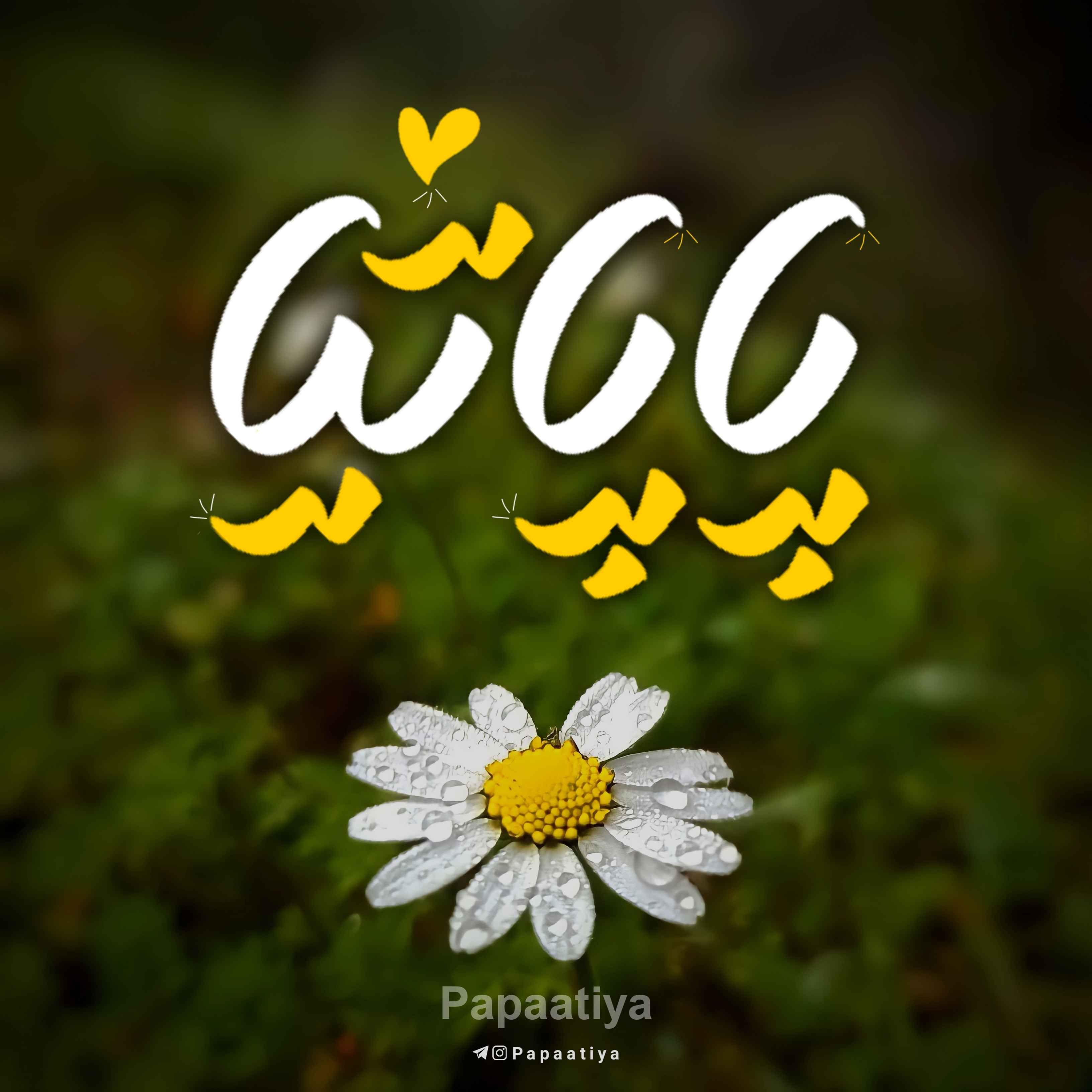 علیرضا همتی